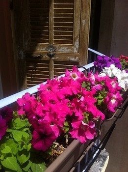 ניס Hostel Altea מראה חיצוני תמונה